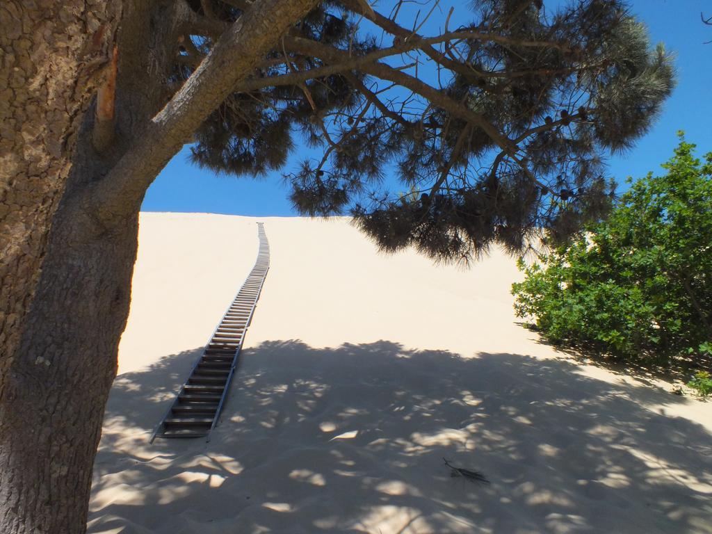 Camping de la Dune Pyla-sur-Mer Exterior foto